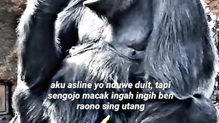 Ingah ingih