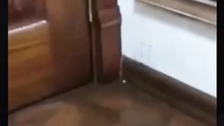 This cute cat's behavior will make you smile yourself
