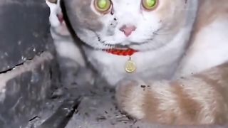 sikembar buat emak murka