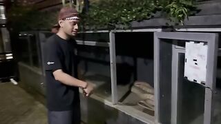 MINDAHIN KING COBRA BESAR