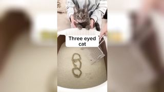 Video you should see once in a lifetime