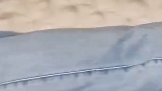 Funny animal videos that i found for you 2