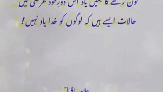 Video 50 2