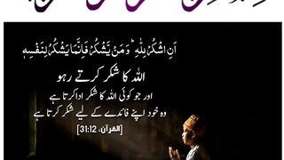 Quran , Al Quran Surah 31 Ayat 12 #viral #shorts #quran #youtubeshorts