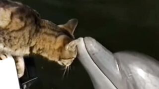 Любовь с первого взгляда