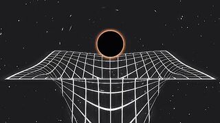 Black Hole Gravity