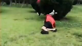 Amazing funny video