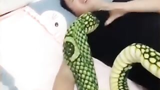 Best funny video