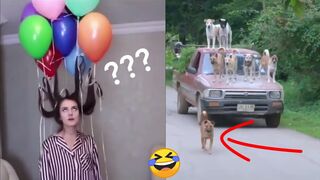 Funny Moments Of The Year Compilation ???????????? PART 19