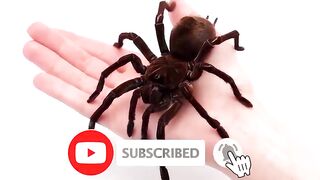 20 People You Won't Believe Existed Till You See Them