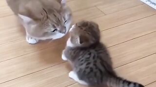 Omg, you seen this video ❤️