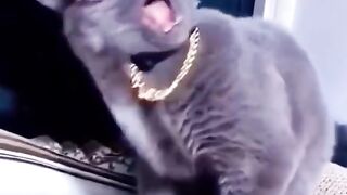 Dj video