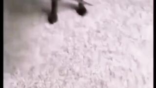 Wait for End.mp4