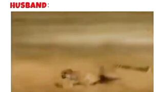 You can't laugh soo funny