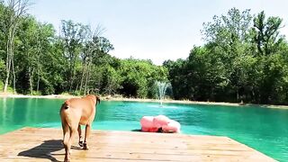Try Not To Laugh Funny Videos - Leaf Blower Can Blow Your Mouth Off