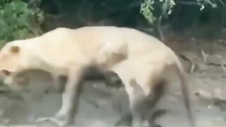 Sendiri di rumah