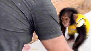 Funnyanimals 3