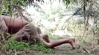 suku mante sedang bercocok tanam
