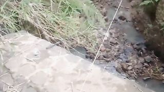 Detik detik pas lagh mancing muncul sesuatu?? Jangan lupa suscreber dan like