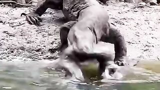 5200681772659960198_play