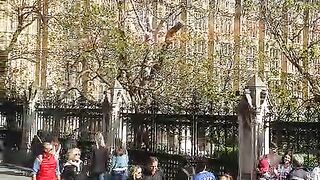 Our visit London