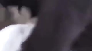 Man regretted separating 2 dogs fighting