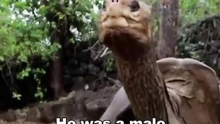 THE LONELIEST ANIMAL IN THE WORLD