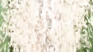 Hydraulic press 2
