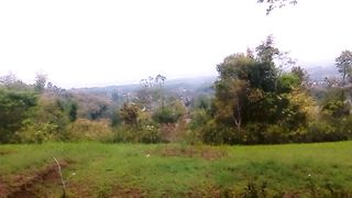 Pemandangan 17