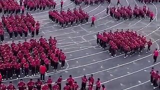 Discipline Like this