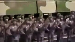 КУЧЕТАТА  НА  ВОЙНАТА