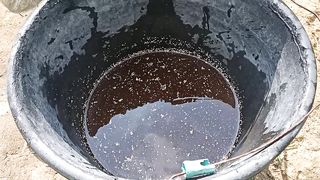 fertilizer experiment