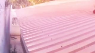 Funny animal videos 7