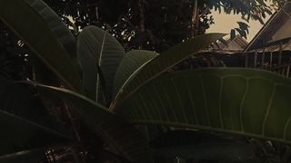 Belajar Cinematic video pakai handphone