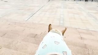 Unimaginable sports genius dog 3