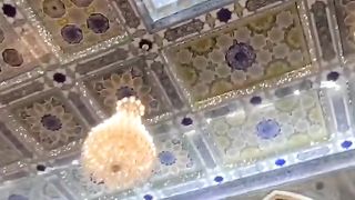 Naqvi-S-Karbala.
