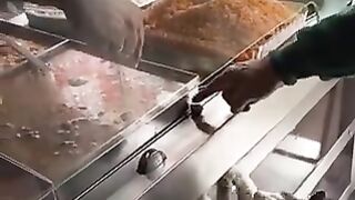 Cats that don't get fed