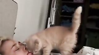 Owner being woken up by cat