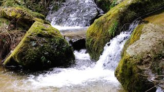 Water falling beauty