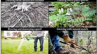 Clean earth ???? green erath