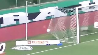 The funniest celebration ever