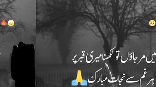 #wiz khalifa#Chris brown #Katy perry#Eminem #Ariana grande#Justin Bieber#BTS#pewdiepie#Billie Eilish 12