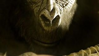the gorilla saved a human baby (tarzan part 1)