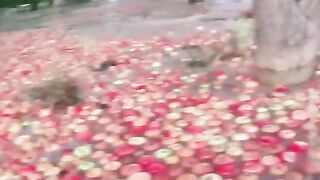 APPLE KA HAAL BARISH MEN.