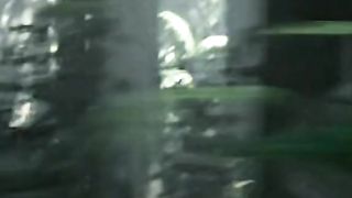 beat the tiger (tarzan part 3)