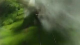assault (tarzan part 4)