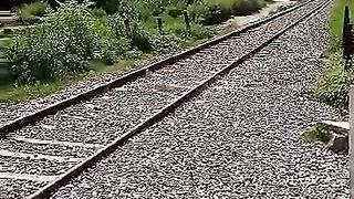 Trian original sound with video