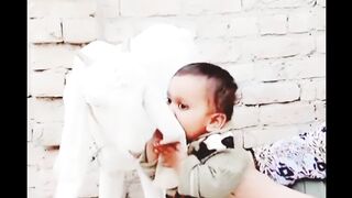 Baby play with goat