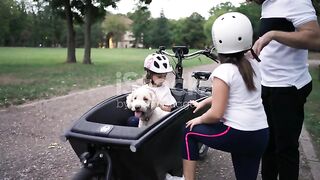 Father adjusting daughter's cycling helmet, preparing them for ride in a cargo bike