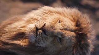 Simba 2